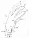 Fig. 01 - Wrist closure system for an athletic glove