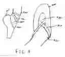 Fig. 04 - Stretch ribbon for ballet shoes