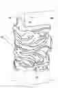 Fig. 01 - Decorative corner guard