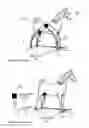 Fig. 02 - Method and apparatus for evaluating animals' health and performance