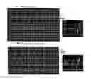 Fig. 07 - Method and apparatus for evaluating animals' health and performance