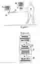 Fig. 02 - Primary heat exchanger for patient temperature control