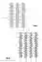 Fig. 03 - Mesh for bags or packaging