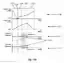 Fig. 31 - Chromatography system with waste output