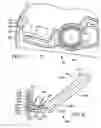 Fig. 04 - Kickdown mechanism for pedal assembly