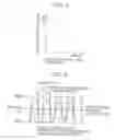 Fig. 05 - Exhaust emission control device of internal combustion engine