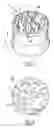 Fig. 02 - Packaging and applicator device for applying a cosmetic or dermatological composition