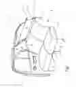 Fig. 02 - Window shade for motor vehicles with positive end stop on the actuating element