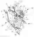 Fig. 01 - Coupling assembly for a three point hitch assembly