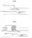 Fig. 20 - Controller for electric power steering device