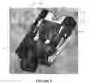 Fig. 03 - Universal belay device