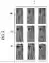 Fig. 03 - MFP having counterfeit detection function