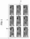 Fig. 04 - MFP having counterfeit detection function