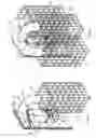 Fig. 02 - System for the identification and sorting in a predetermined order of single garments or laundry items