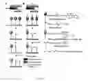 Fig. 02 - Patterning and alteration of molecules