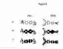 Fig. 09 - Organic materials with tunable electric and electroluminescent properties