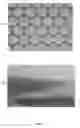 Fig. 07 - Fabrication of quantum dots embedded in three-dimensional photonic crystal lattice