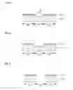 Fig. 07 - Shadow mask and manufacturing method thereof