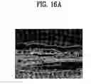 Fig. 15 - Apparatus and method of driving liquid crystal display device