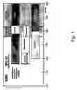 Fig. 02 - UV feature illumination