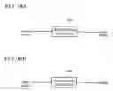 Fig. 19 - Integrated circuit device