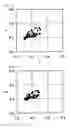 Fig. 04 - Optical film and image display