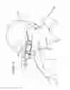 Fig. 02 - Eyeglass appliance, eyeglass component and eyeglass frame