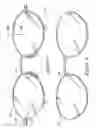 Fig. 03 - Eyeglass appliance, eyeglass component and eyeglass frame