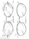 Fig. 07 - Eyeglass appliance, eyeglass component and eyeglass frame