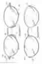 Fig. 12 - Eyeglass appliance, eyeglass component and eyeglass frame