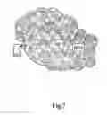 Fig. 08 - Method, system and network entity for data transmission and reception with header protection