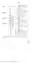 Fig. 04 - Motion estimation circuit and operating method thereof