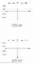 Fig. 12 - Transmitting/receiving apparatus and method in a mobile communication system