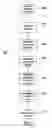 Fig. 03 - Method of recording a stream of audio-visual data