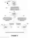 Fig. 03 - Adaptive elasticity FIFO