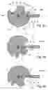 Fig. 06 - Headset