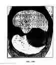 Fig. 22 - Graphical user interface for display of anatomical information