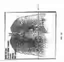Fig. 28 - Graphical user interface for display of anatomical information