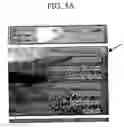 Fig. 06 - Stereoscopic image display device
