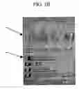 Fig. 07 - Stereoscopic image display device