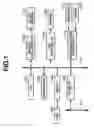 Fig. 02 - Color processing method and apparatus