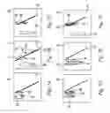 Fig. 08 - System and method for automatic person counting and detection of specific events