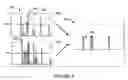 Fig. 07 - Information-based self-organization of sensor nodes of a sensor network