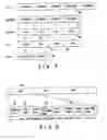 Fig. 07 - Recording medium capable of interactive reproducing and reproduction system for the same