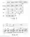 Fig. 07 - Recording medium capable of interactive reproducing and reproduction system for the same