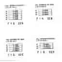 Fig. 19 - Recording medium capable of interactive reproducing and reproduction system for the same