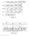 Fig. 07 - Recording medium capable of interactive reproducing and reproduction system for the same