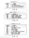Fig. 08 - Recording medium capable of interactive reproducing and reproduction system for the same