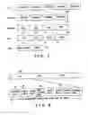 Fig. 07 - Recording medium capable of interactive reproducing and reproduction system for the same
