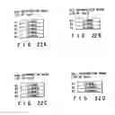 Fig. 19 - Recording medium capable of interactive reproducing and reproduction system for the same